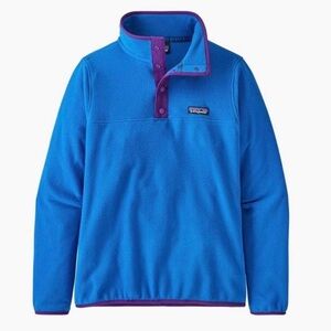 Patagonia Micro D Snap-T Fleece Pullover